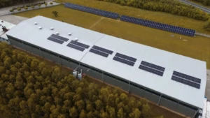 autoncosumo fotovoltaico 