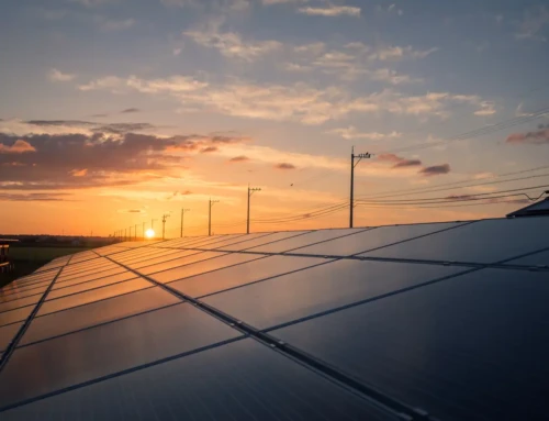 Protección Térmica y Física: Beneficios de placas Solares en tu nave