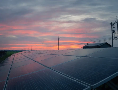 ¿Cuánto Paga Solar Prime por Alquilar mi Cubierta para Instalar Placas Solares?