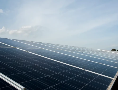 Exigencias ESG en 2026: La Normativa Europea que Obliga a tus Inquilinos a Buscar Tejados Verdes